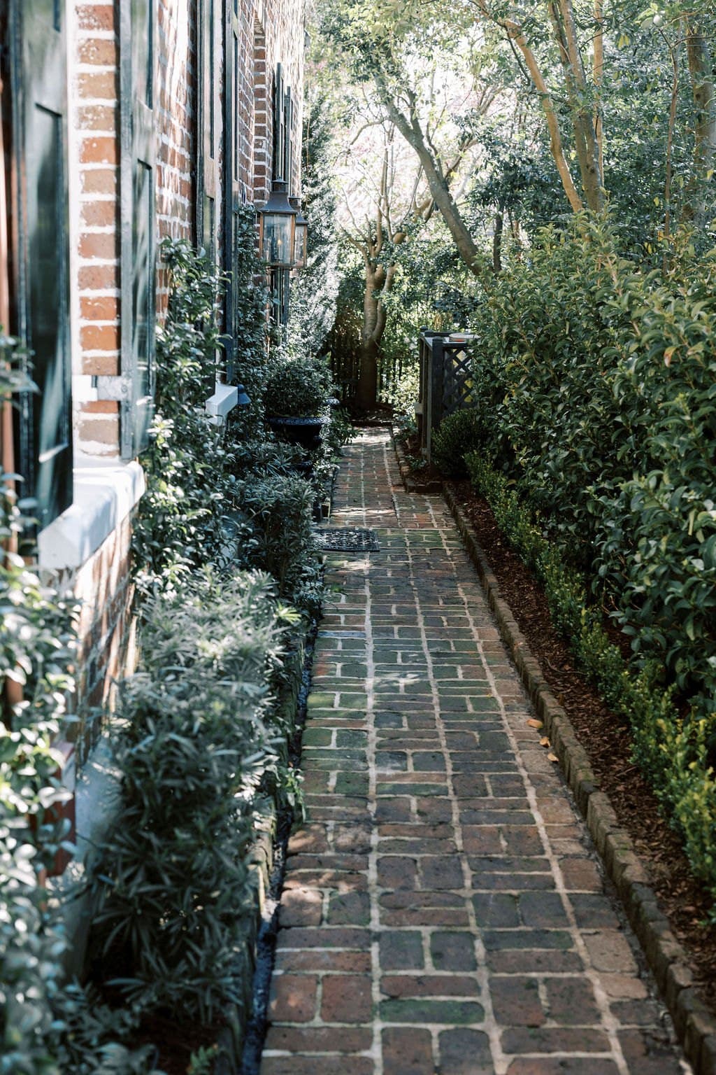 Charleston, Christopher Cook Photography