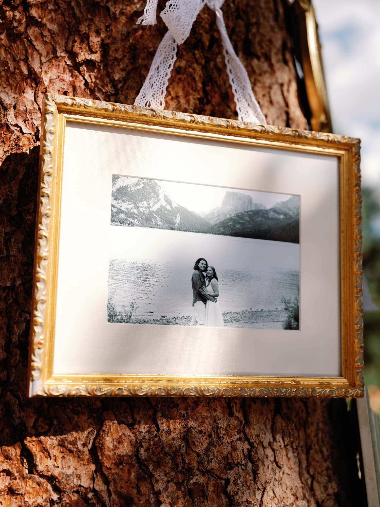 A gilt-framed black and white photograph of Lauren and Jake hung on a tree trunk with lace ribbon