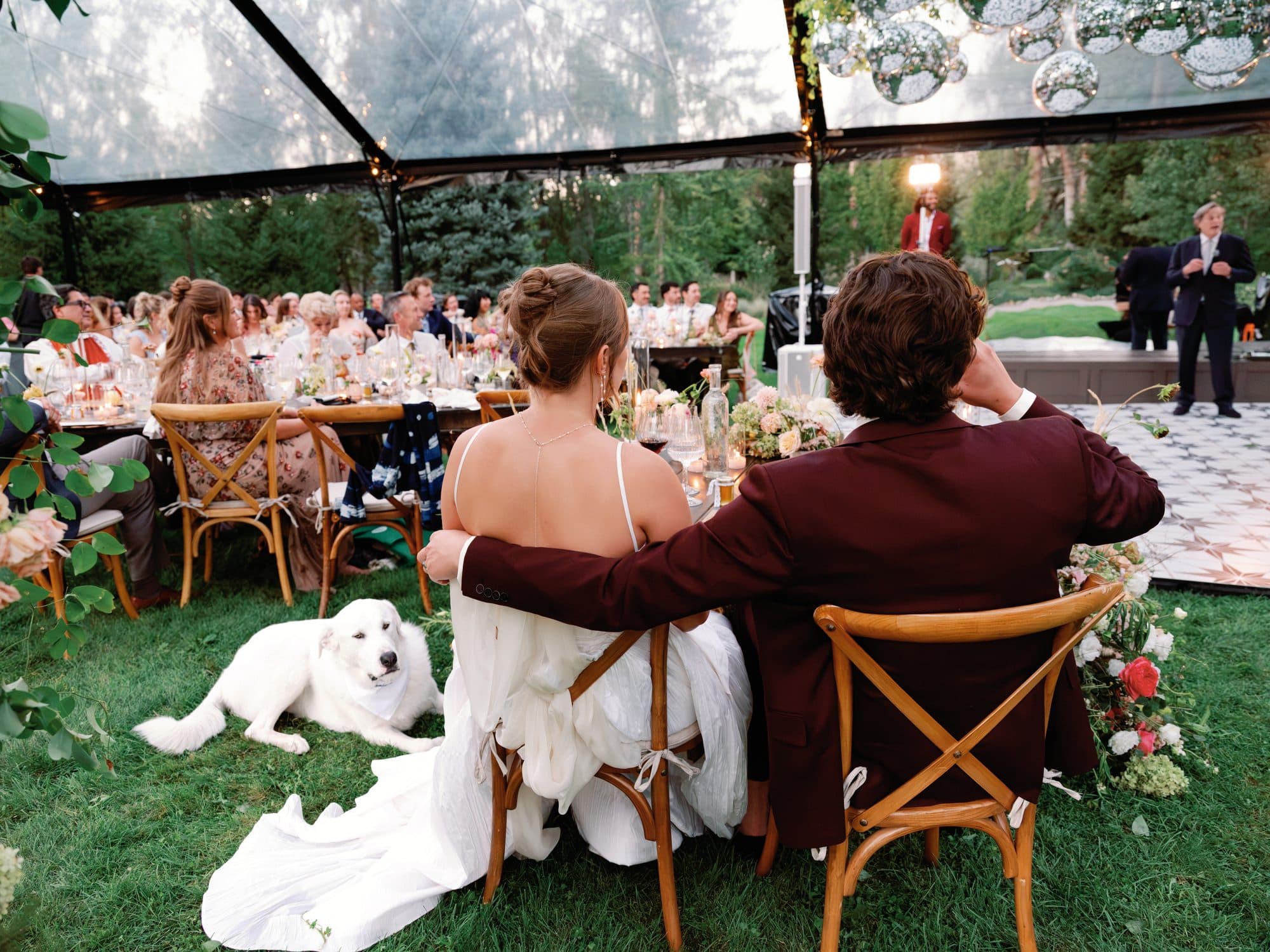 Lauren and Jake listening to the toasts from their chairs, his arm around her, the white dog lying at their feet