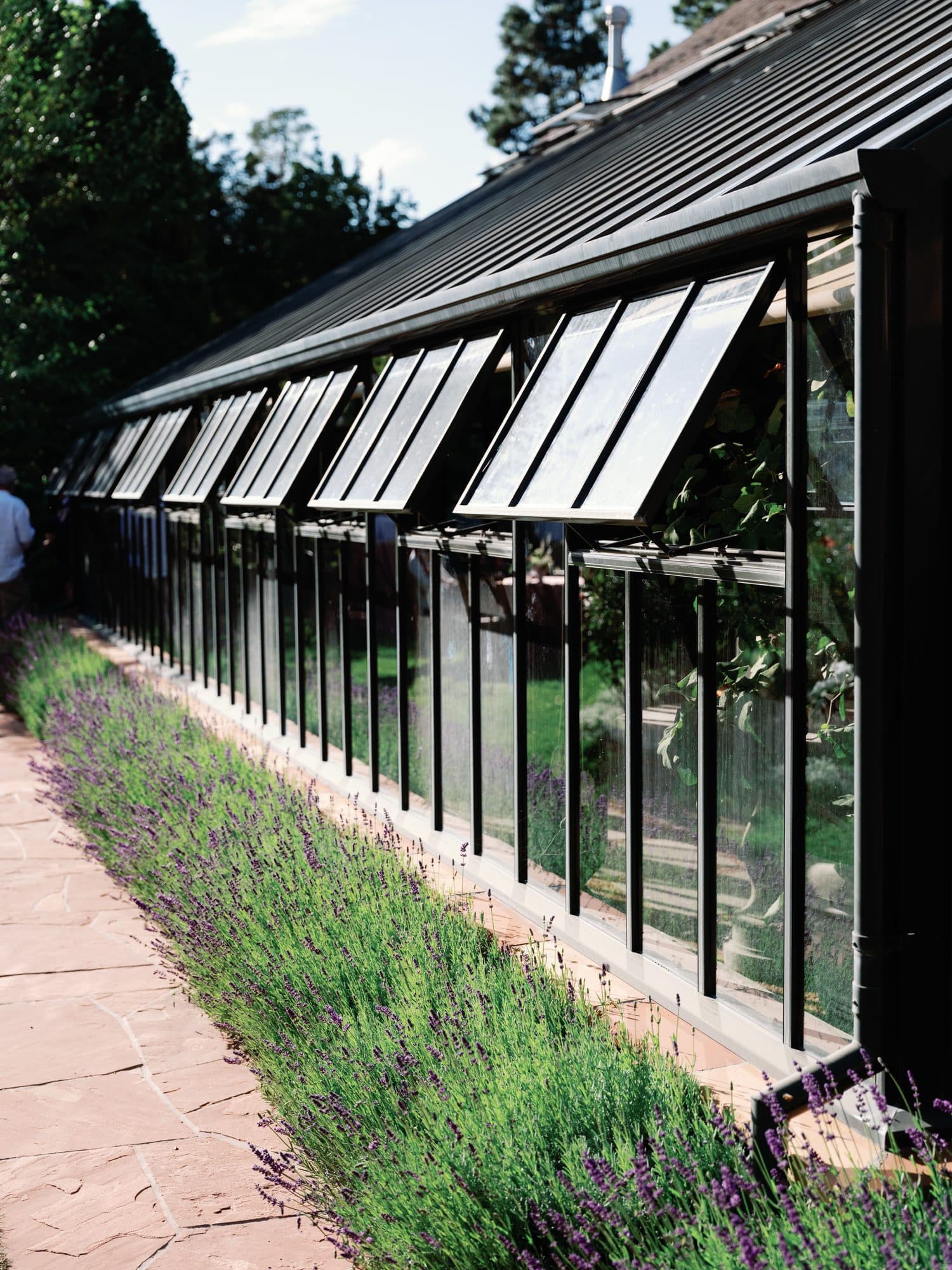 The black-framed glass greenhouse with its vents open, lavender planted along the flagstone walk beside it