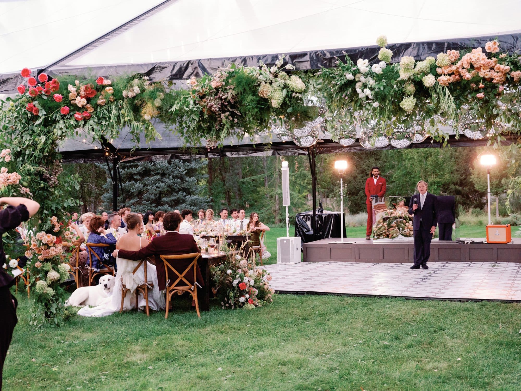 The toasts under a garland of roses, hydrangea and greenery strung across the tent, Lauren and Jake at their table with the white dog beside them